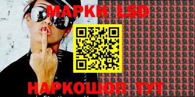 apvp Краснодар