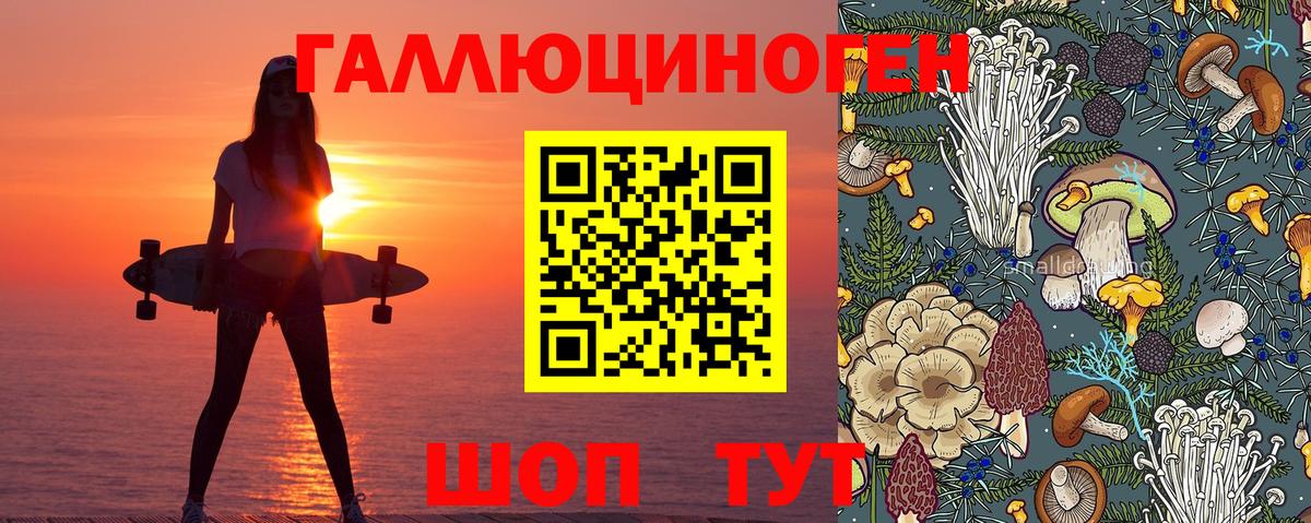 Псилоцибиновые грибы Кизляр