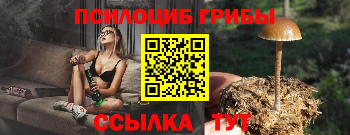 Кизляр  Псилоцибиновые грибы ЛСД  Вход с VPN 